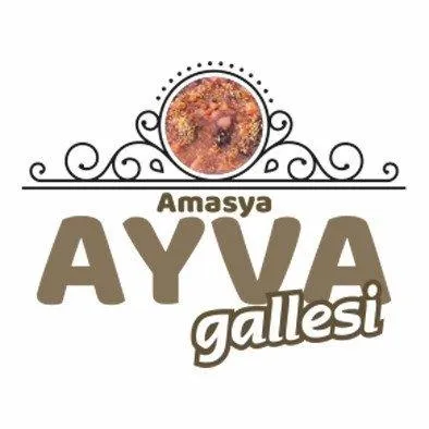 Amasya Ayva Gallesi