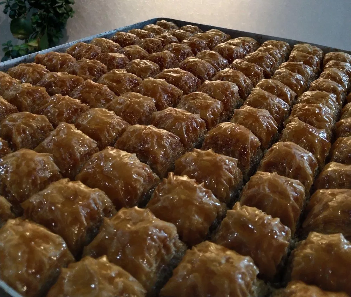 Amasya Cevizli Ballı Baklavası