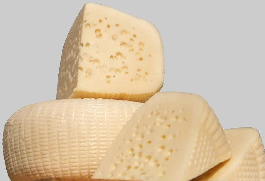 Ayvalık Kelle Peyniri/Ayvalık Sepet Peyniri