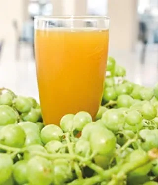 Bademli Koruk Şerbeti