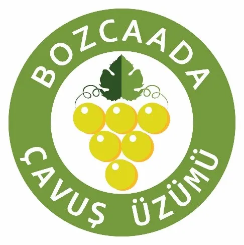 Bozcaada Çavuş Üzümü