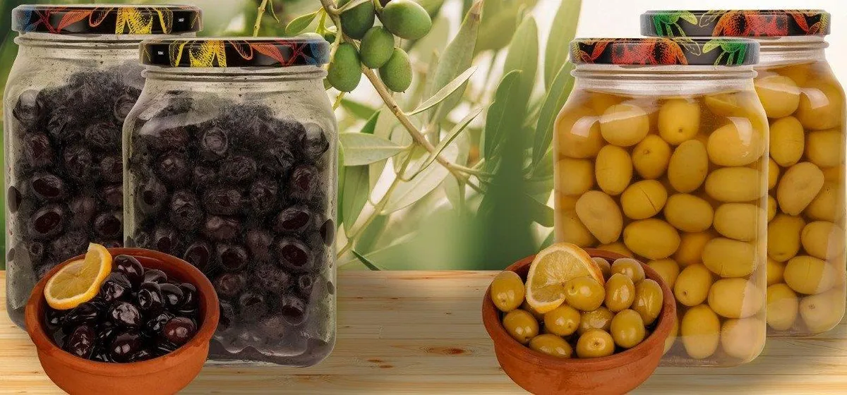 Edincik Zeytini