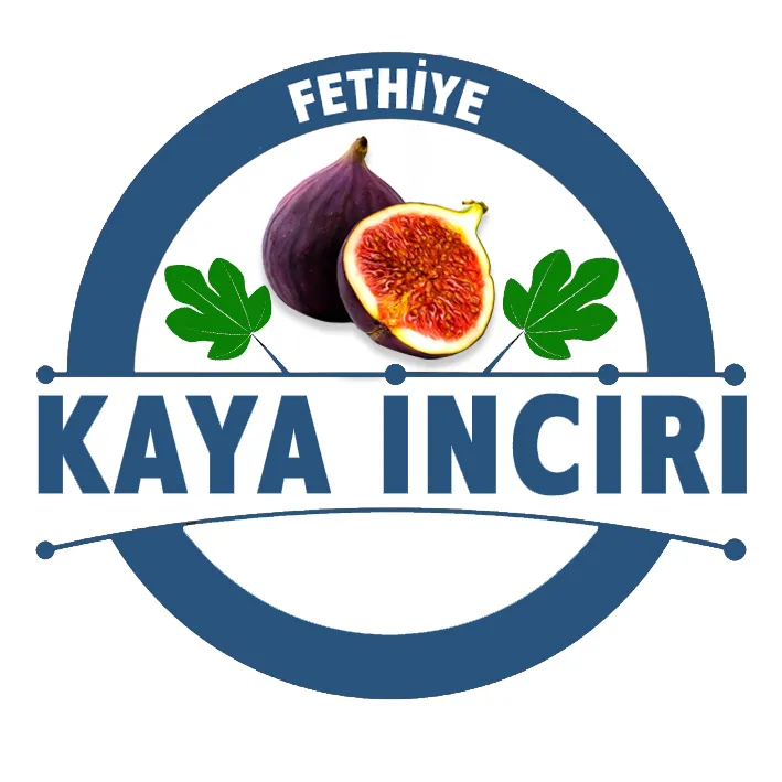 Fethiye Kaya İnciri