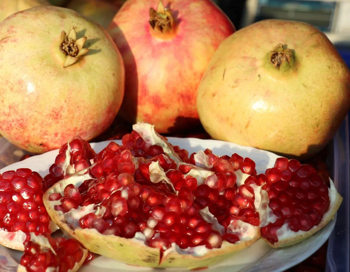 Gazipaşa Çekirdeksiz Narı