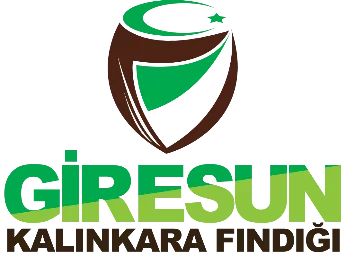 Giresun Kalınkara Fındığı /Giresun Karası