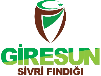 Giresun Sivri Fındığı