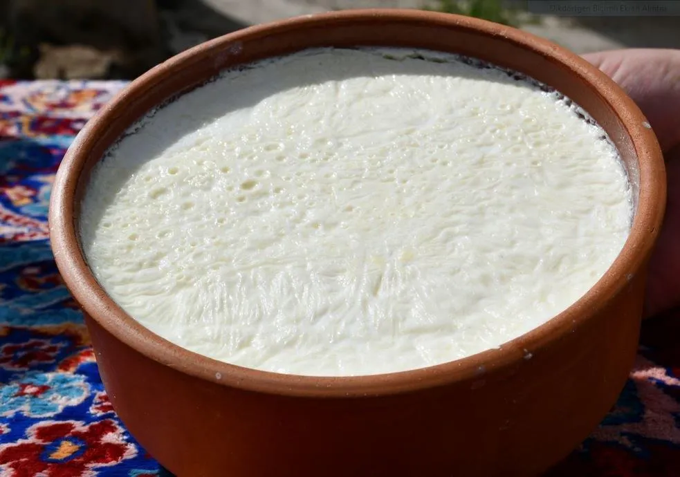 Haymana Yoğurdu