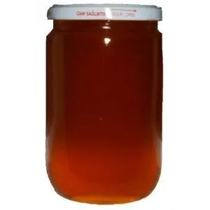 Kocaali Çamdağı Kestane Balı