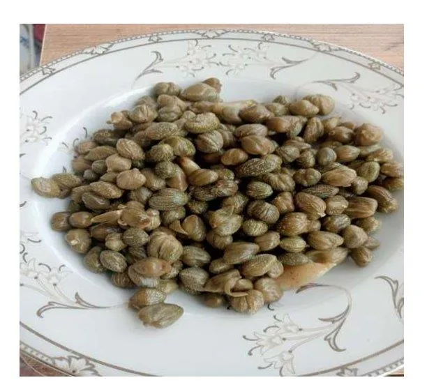 Osmancık Kapari Turşusu