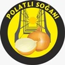 Polatlı Soğanı