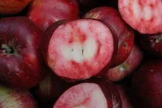 Posof Elması / Badele Elması