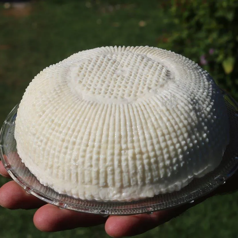 Sakarya Abhaz (Abaza) Peyniri