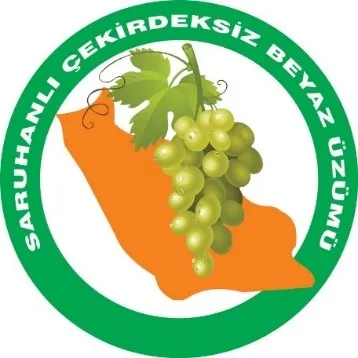 Saruhanlı Çekirdeksiz Beyaz Üzümü
