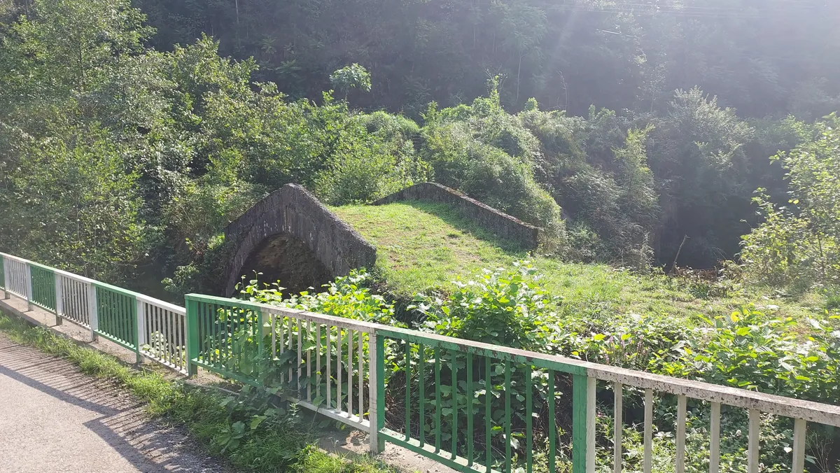 Adaköy Mesire Alanı ve Göleti
