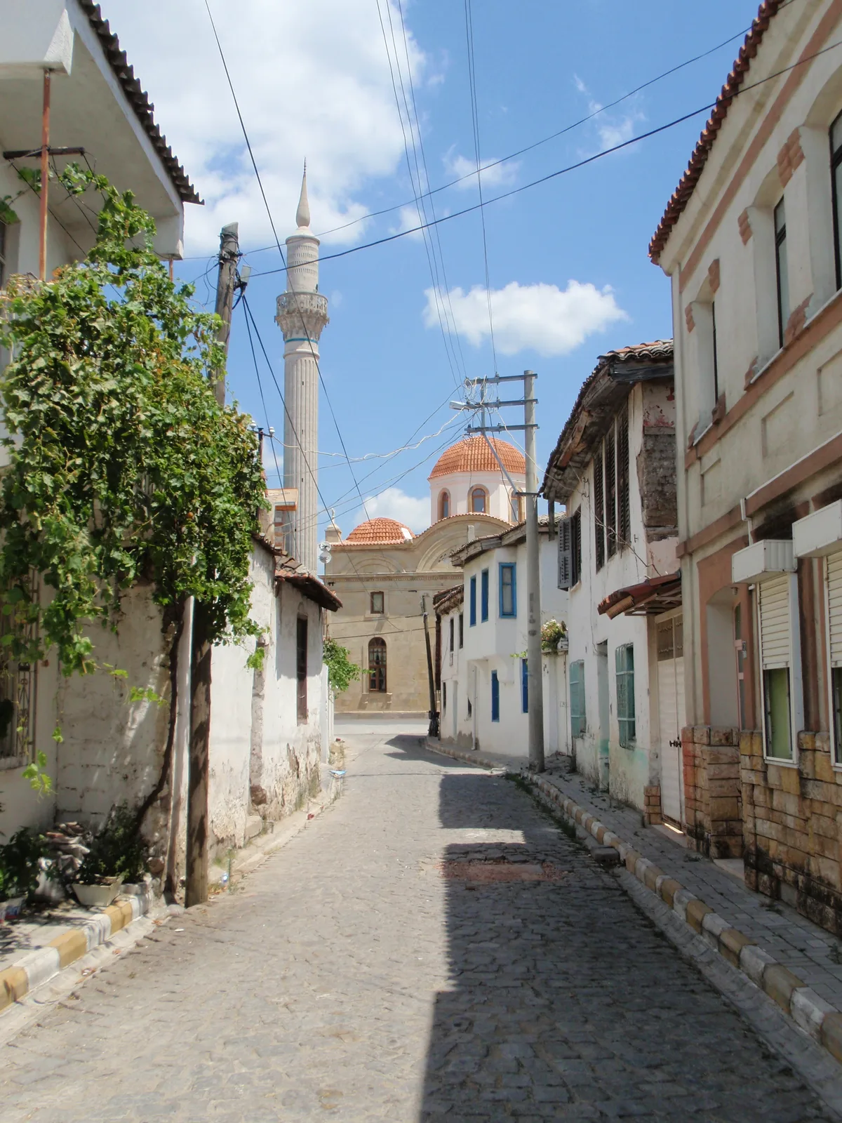 Adramytteion Antik Kenti & Kazı Alanı (Ören)