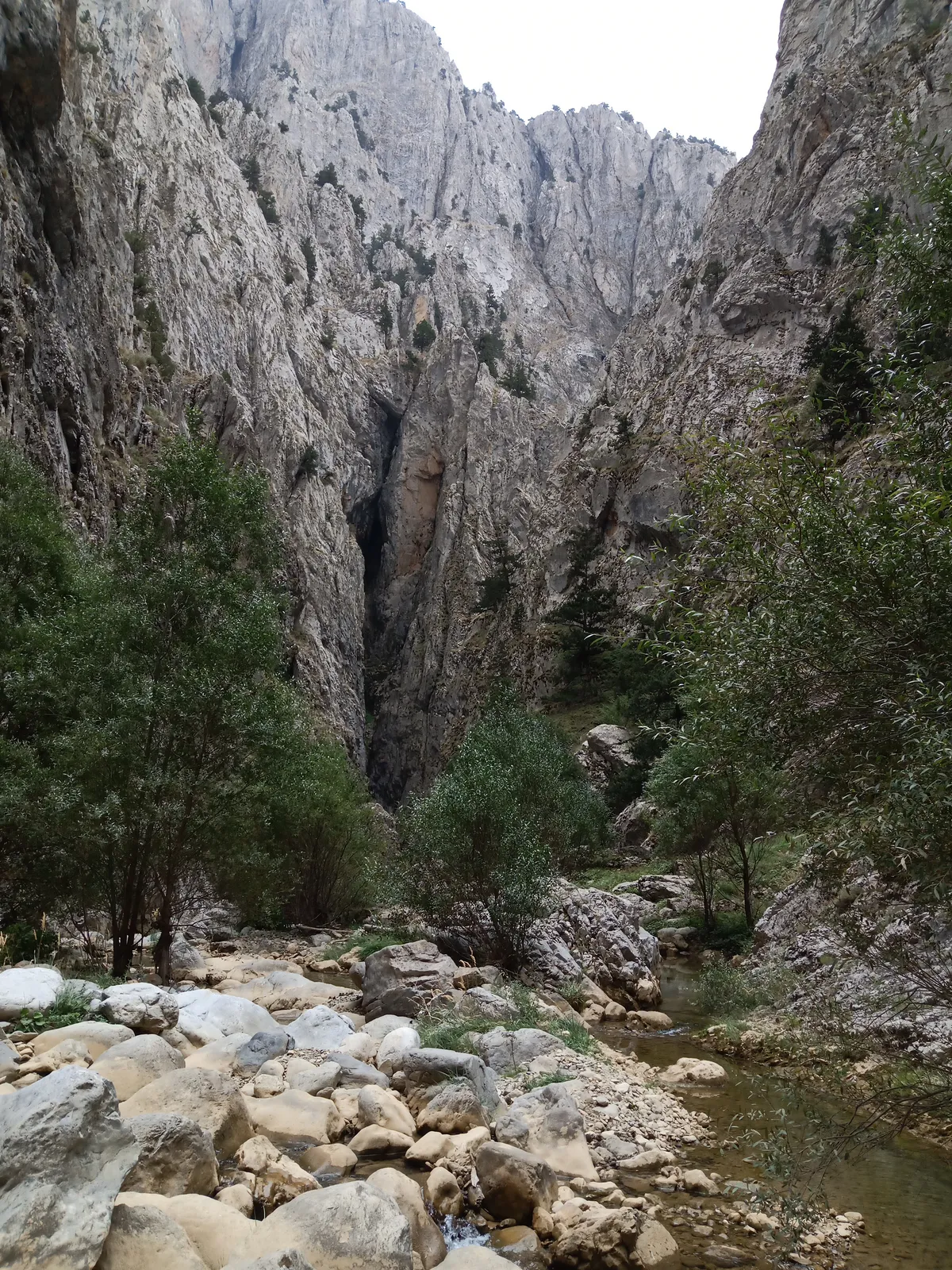 Akdağ Tabiat Parkı ve Kocayayla