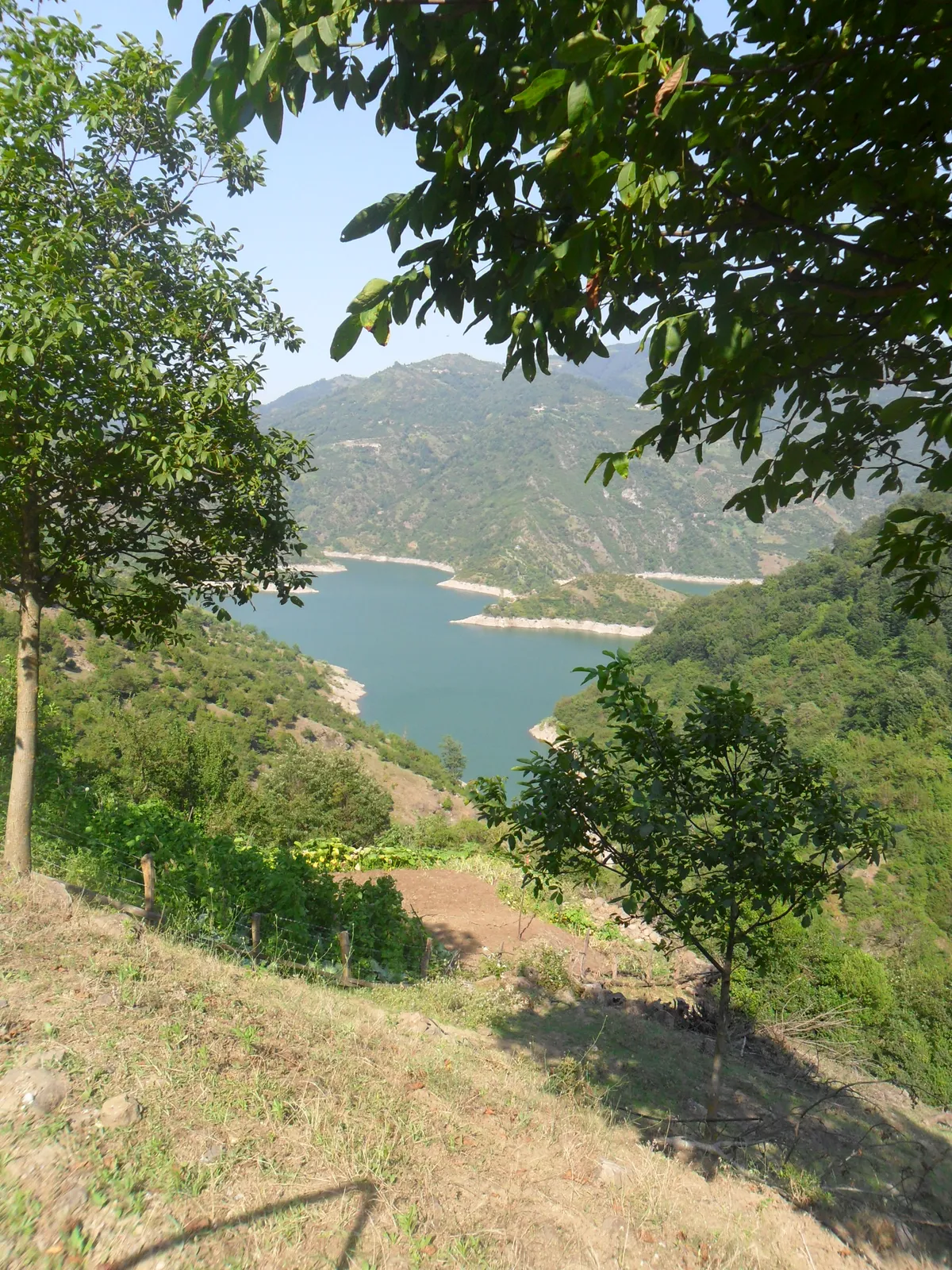 Almus Orman Evleri Tabiat Parkı - Tokat Almus