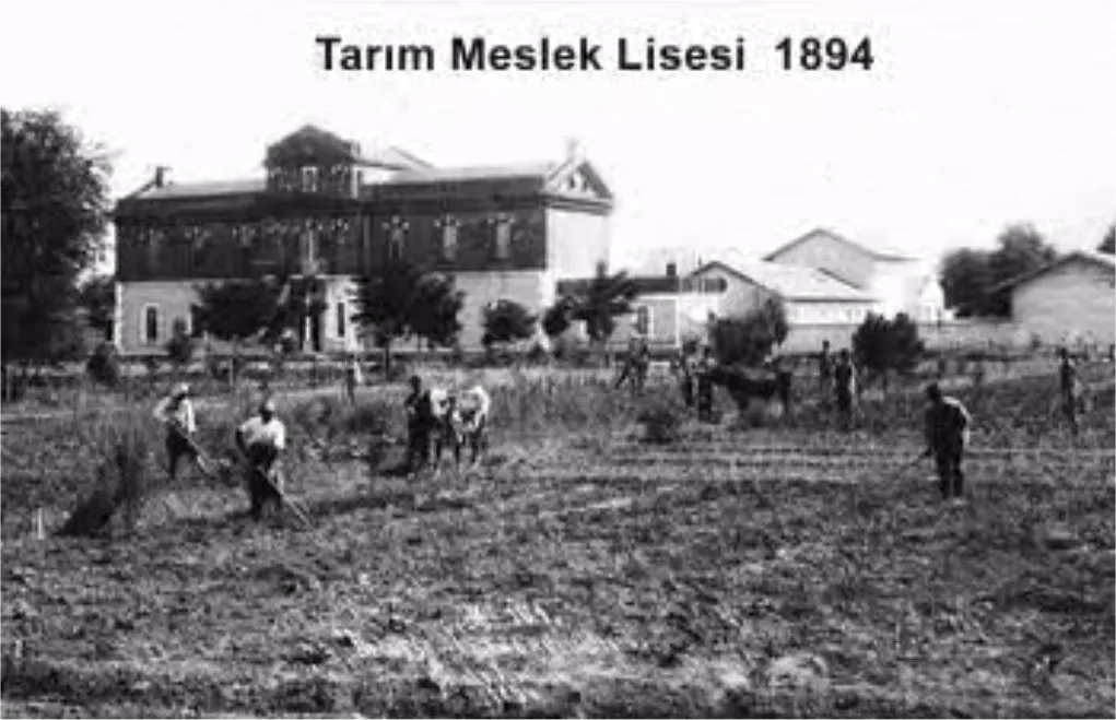 Anadolu Tarım İşletmesi (TİGEM Mahmudiye Harası)