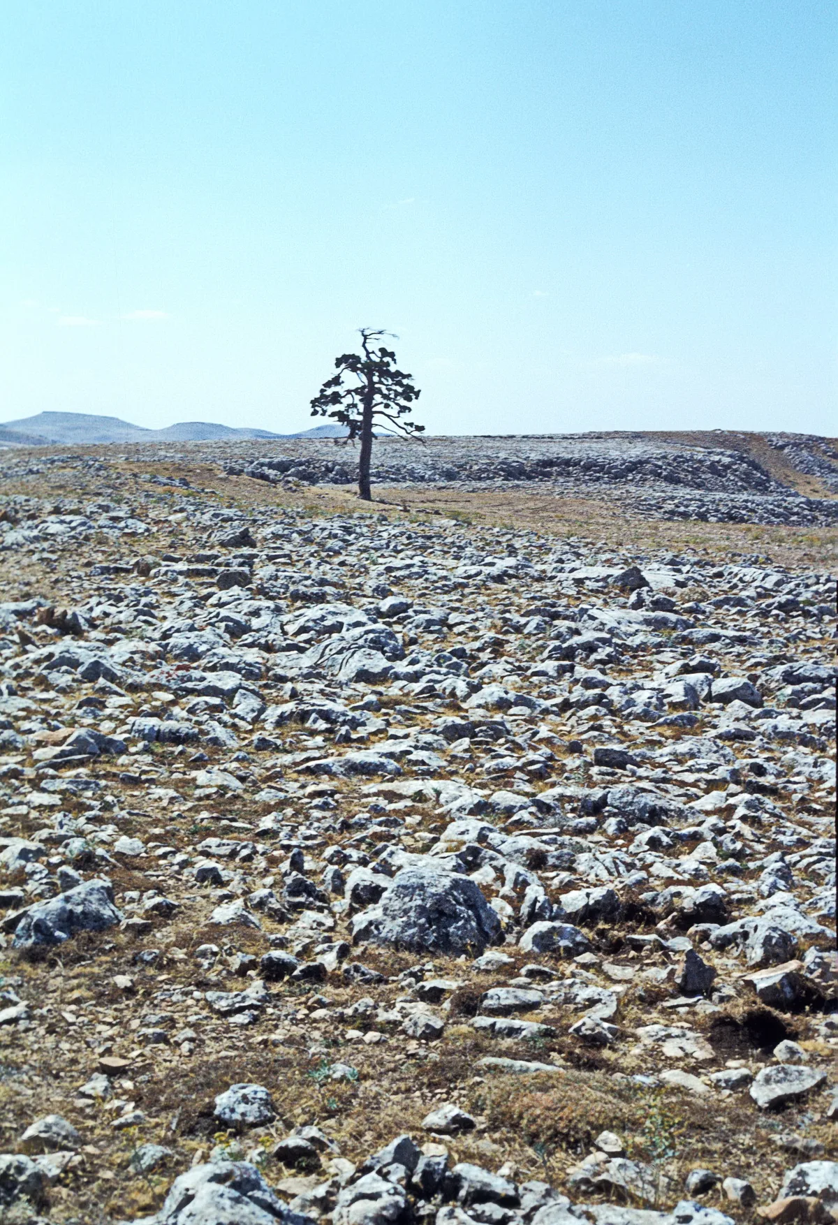 Hasanoğlan Göleti & Doğa Parkı