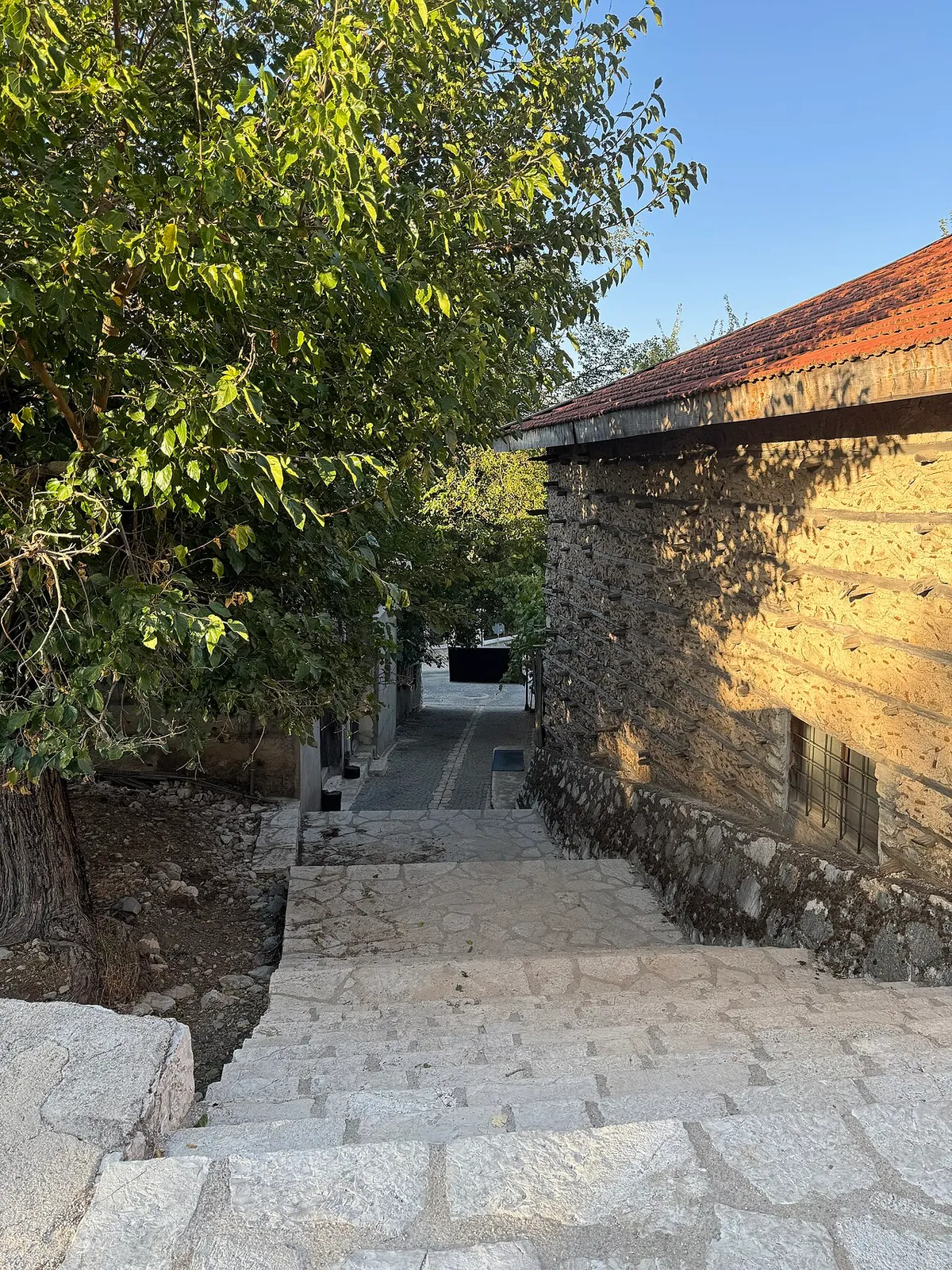 Arapastı Kestanesi