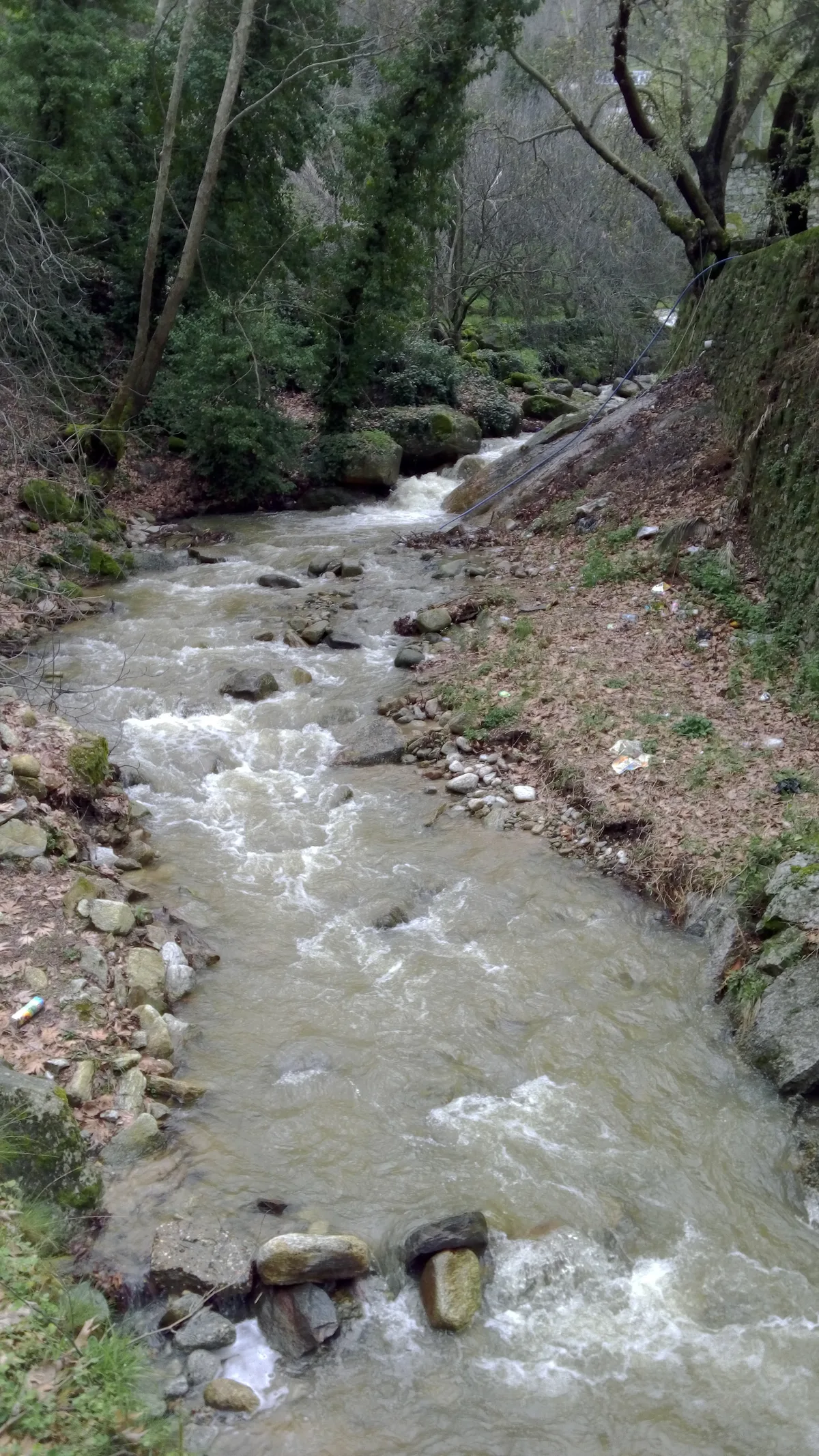 Asma Köyü Çam Ormanları ve Doğa Parkuru - Aydın Bozdoğan