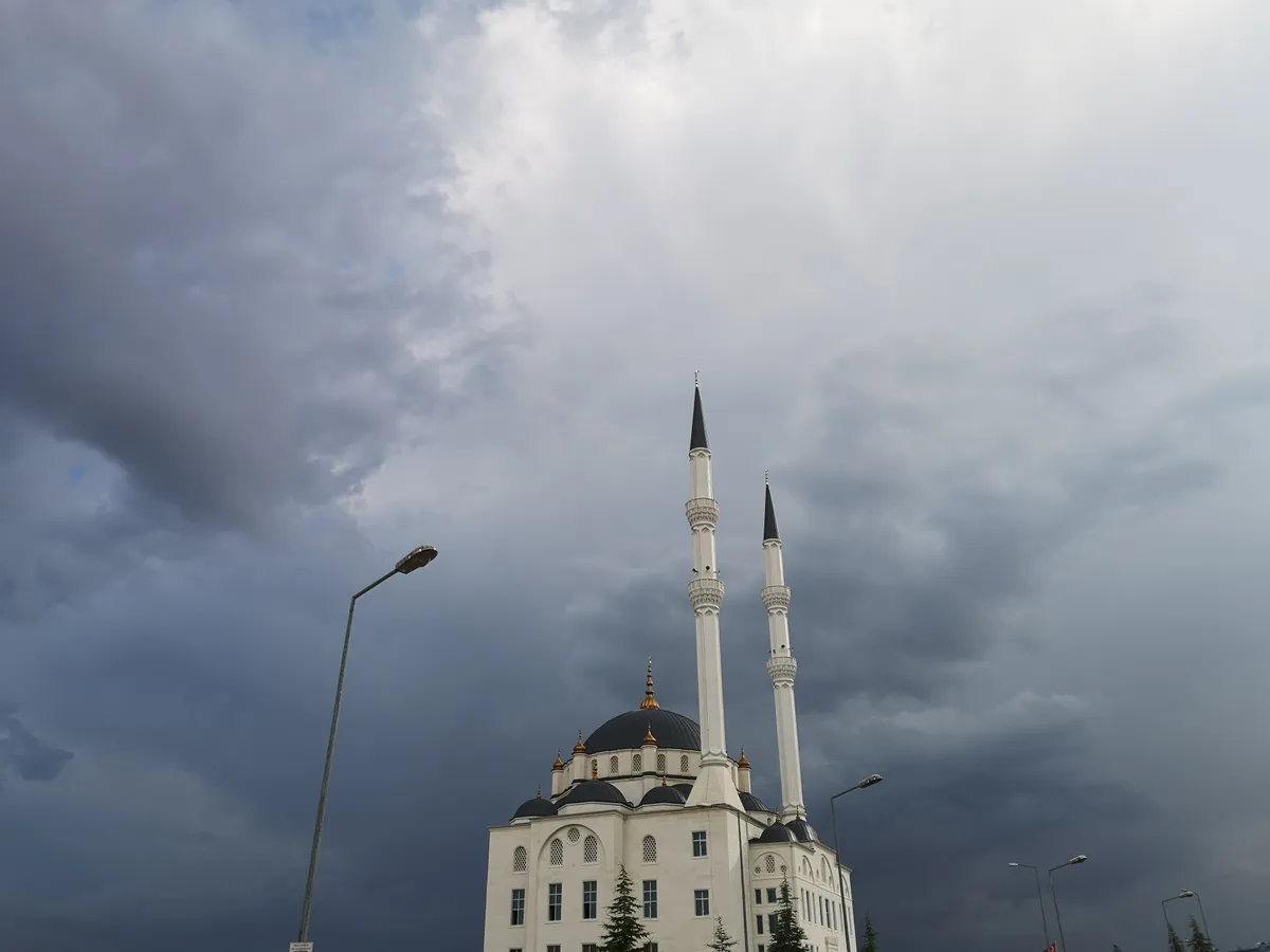 Ataşehir'in Gizli Cennetleri: Şehirde Kuş Gözlem Rehberi