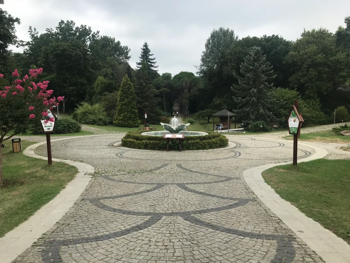 Atatürk Arboretumu (Canlı Ağaç Müzesi - Bahçeköy) - İstanbul Sarıyer