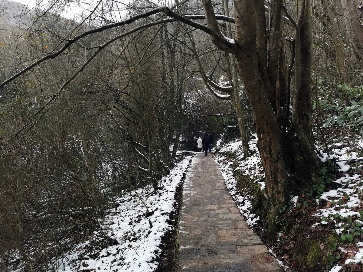 Aydınpınar Şelaleleri Tabiat Parkı - Düzce Merkez