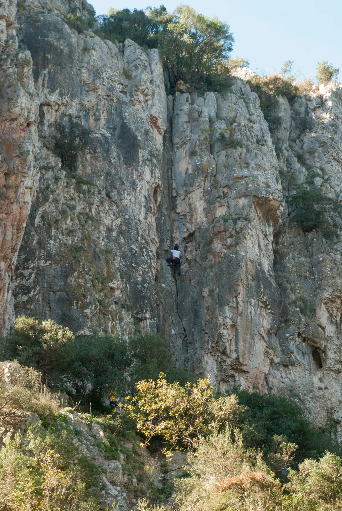 Aytepe Mesire Alanı ve Tabiat Parkuru (1000 m)