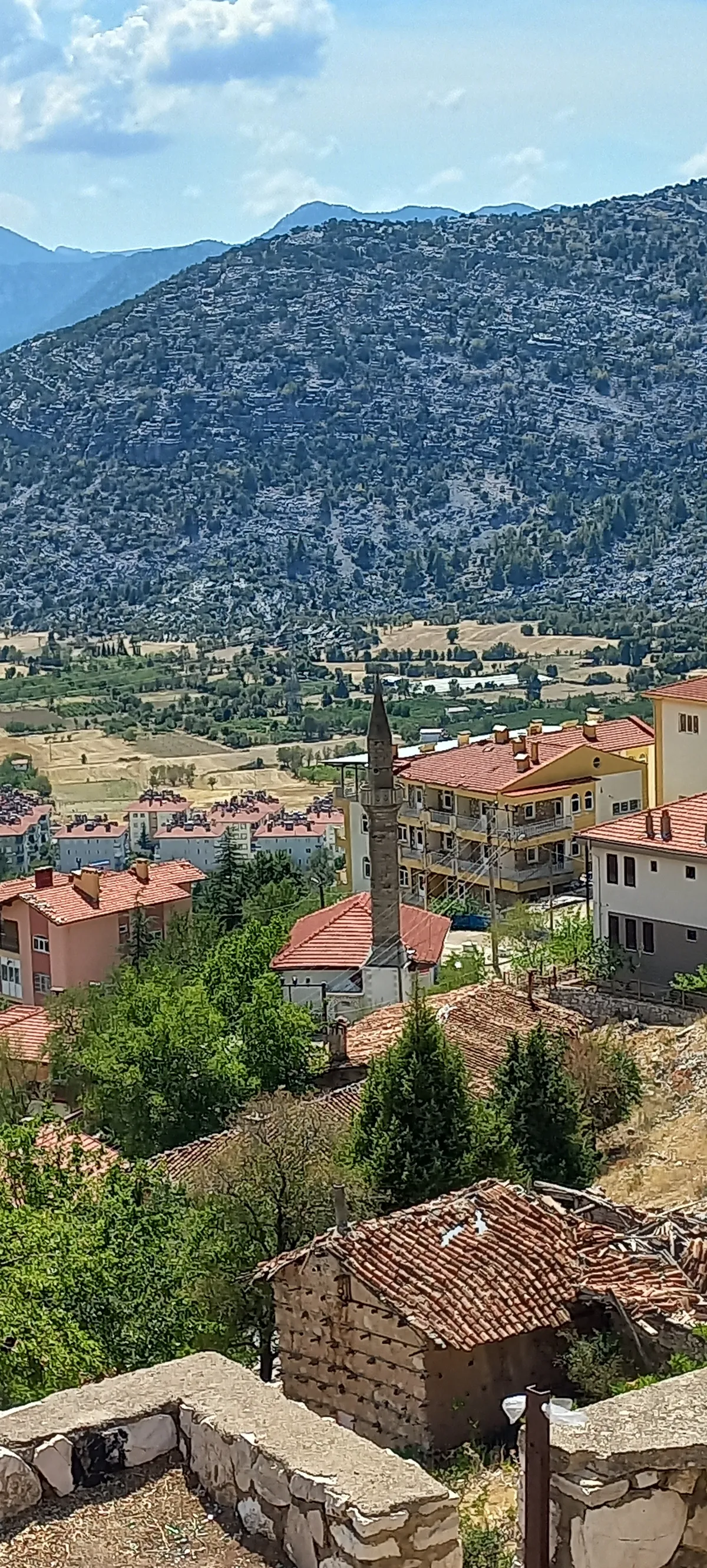 Başlar Düğmeli Evleri
