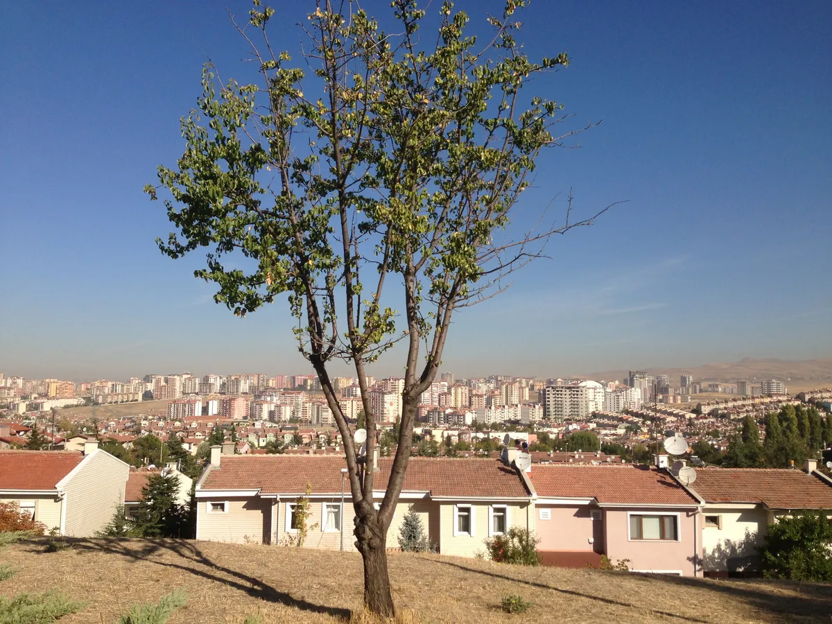 Batıkent Ali Dinçer Parkı ve Rekreasyon Alanı