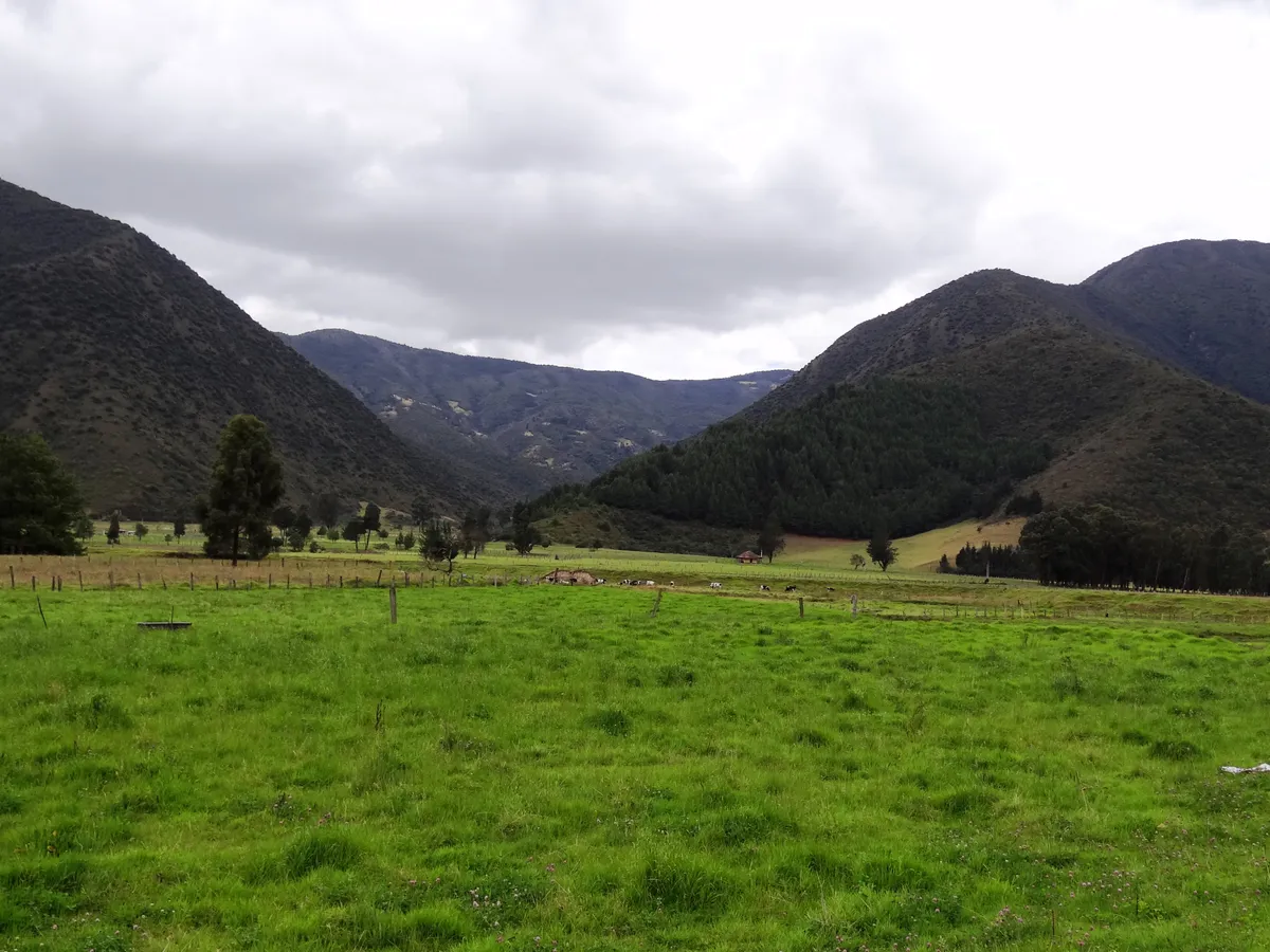 Belen Yaylası & Çam Mesire Parkuru (1600m) - Bolu Kıbrıscık