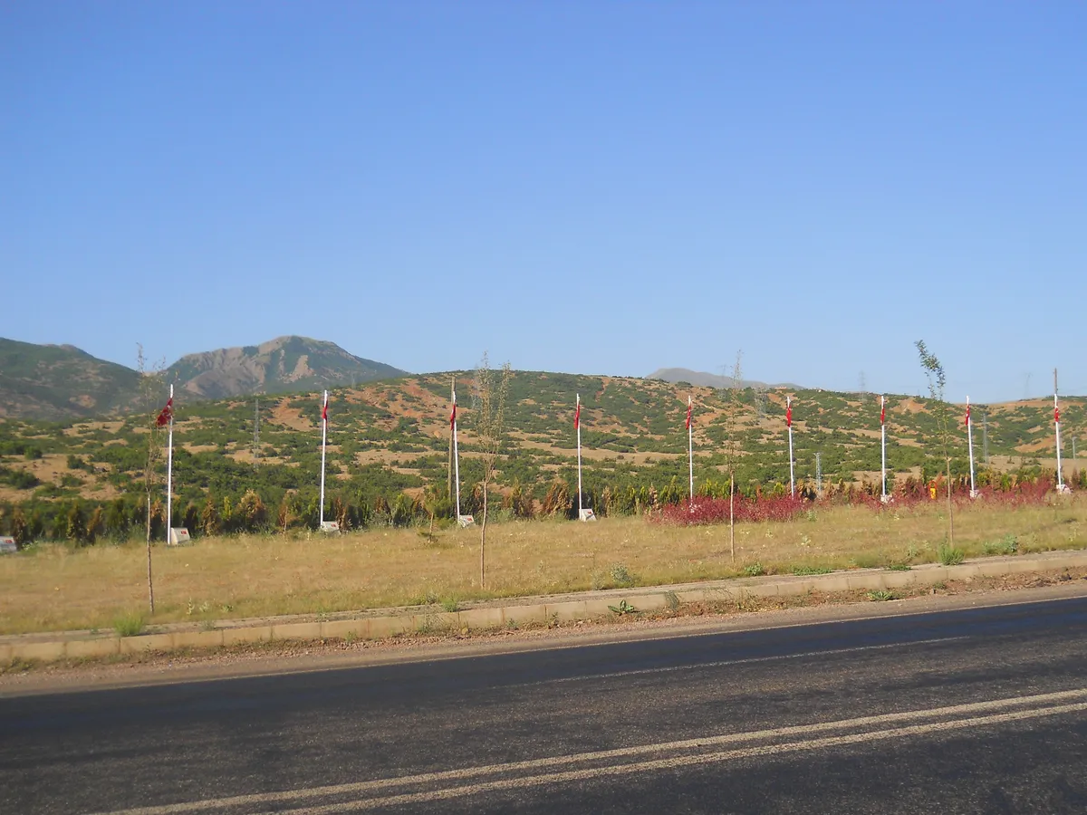 Çotla Yaylası & Çam Mesire Parkuru (1650m)