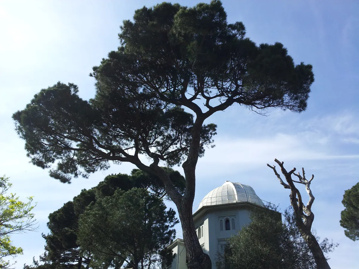 Boğaziçi Üniversitesi Kandilli Rasathanesi ve Deprem Araştırma Enstitüsü
