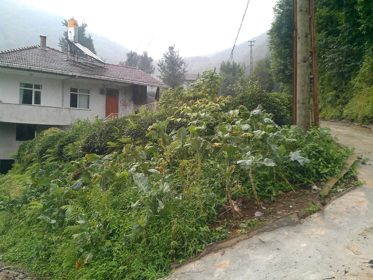 Çakırlı Köyü ve İznik Gölü Kıyı Şeridi - Bursa Orhangazi