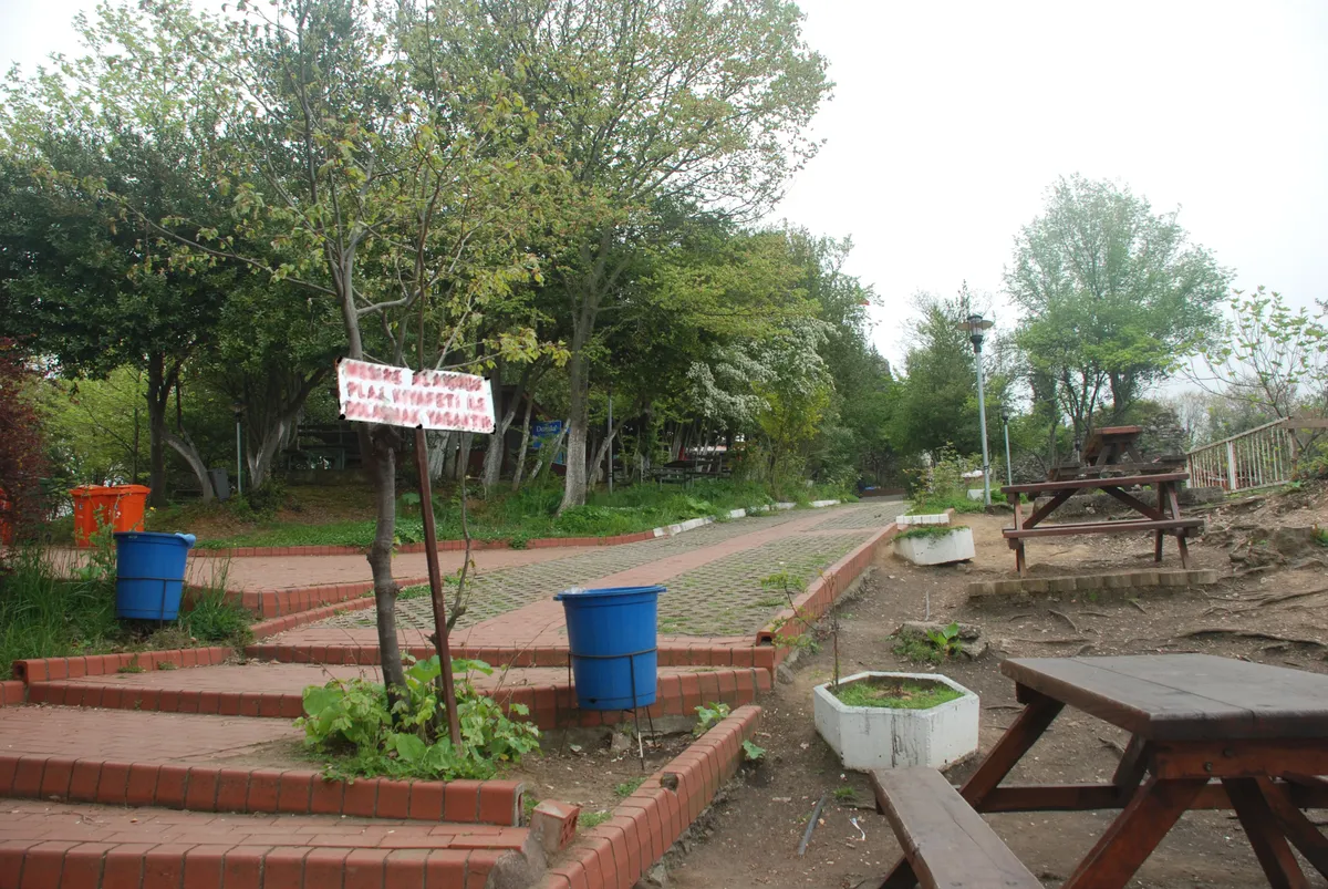 Kaynaşlı'da 2026 Yılının En Güzel Plajları, Masmavi Koyları ve Yüzme Noktaları (Düzce Gezi Rehberi)