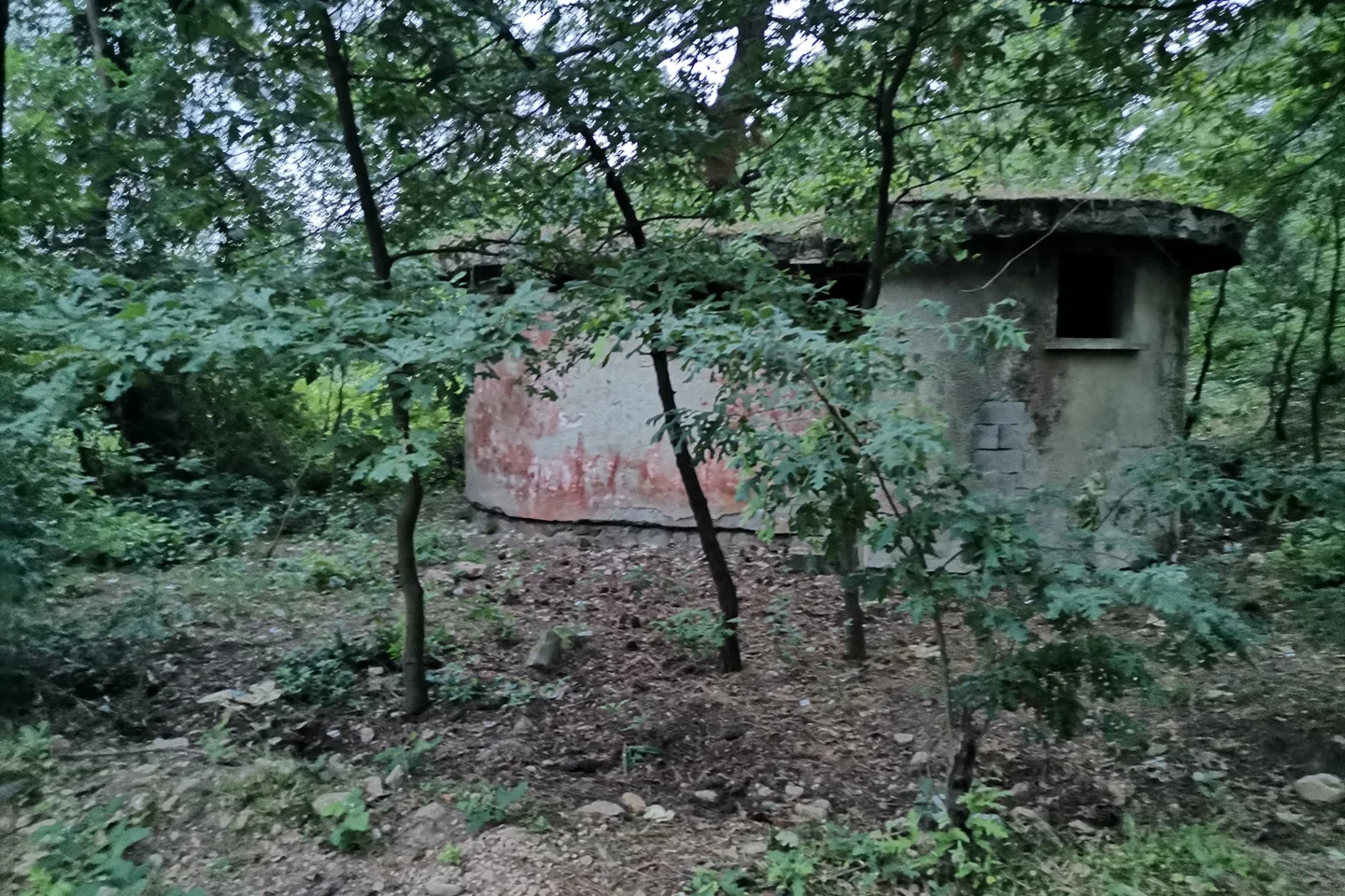Tarihi Sameteli Köyü ve Çam Ormanları Doğa Parkuru (Çan) - Çanakkale Çan