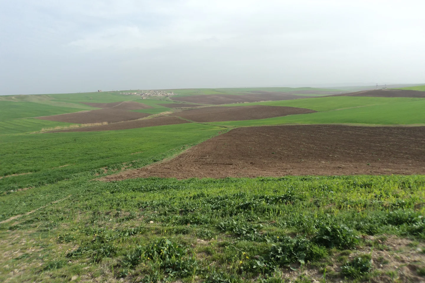 Tarihi Kazdağları Gergeri Yaylası ve Doğa Parkuru (Yenice)