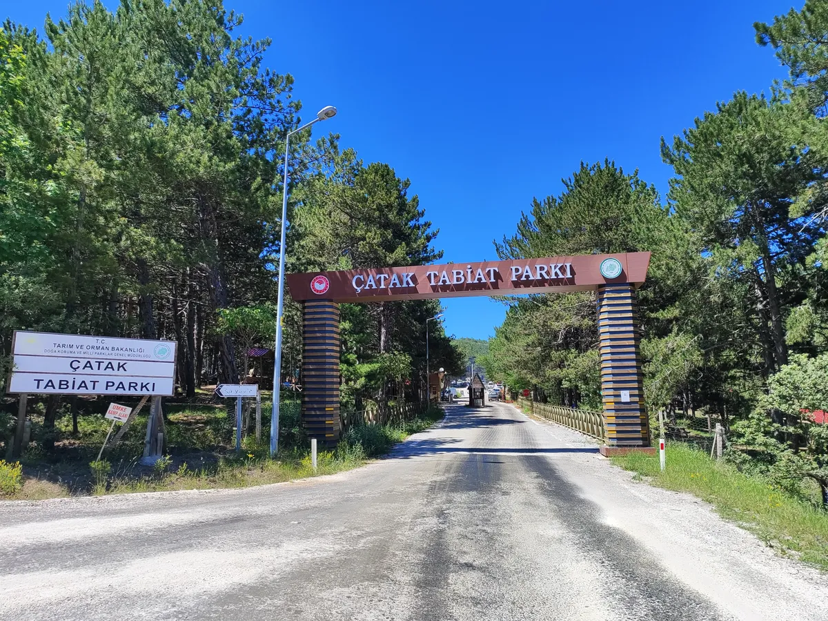 Çorum Merkez'in Kalbi Atıyor: Yıl Boyunca Festivaller ve Etkinlikler Rehberi