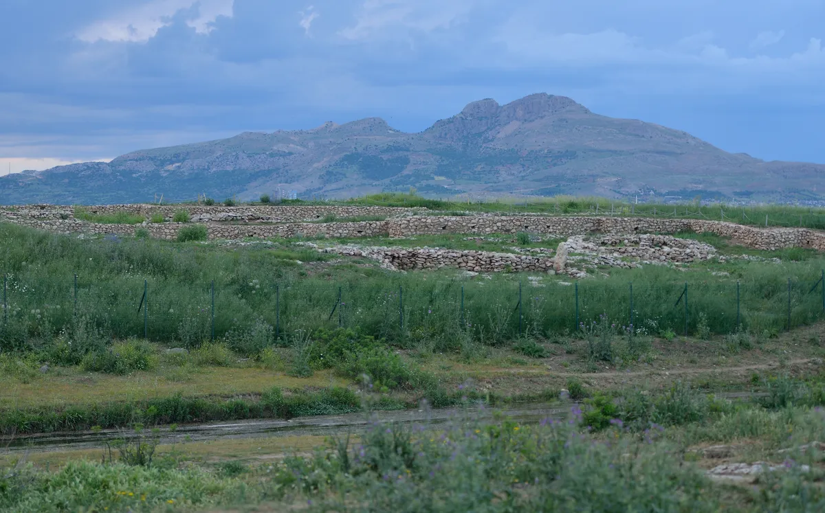 Çayönü Höyüğü