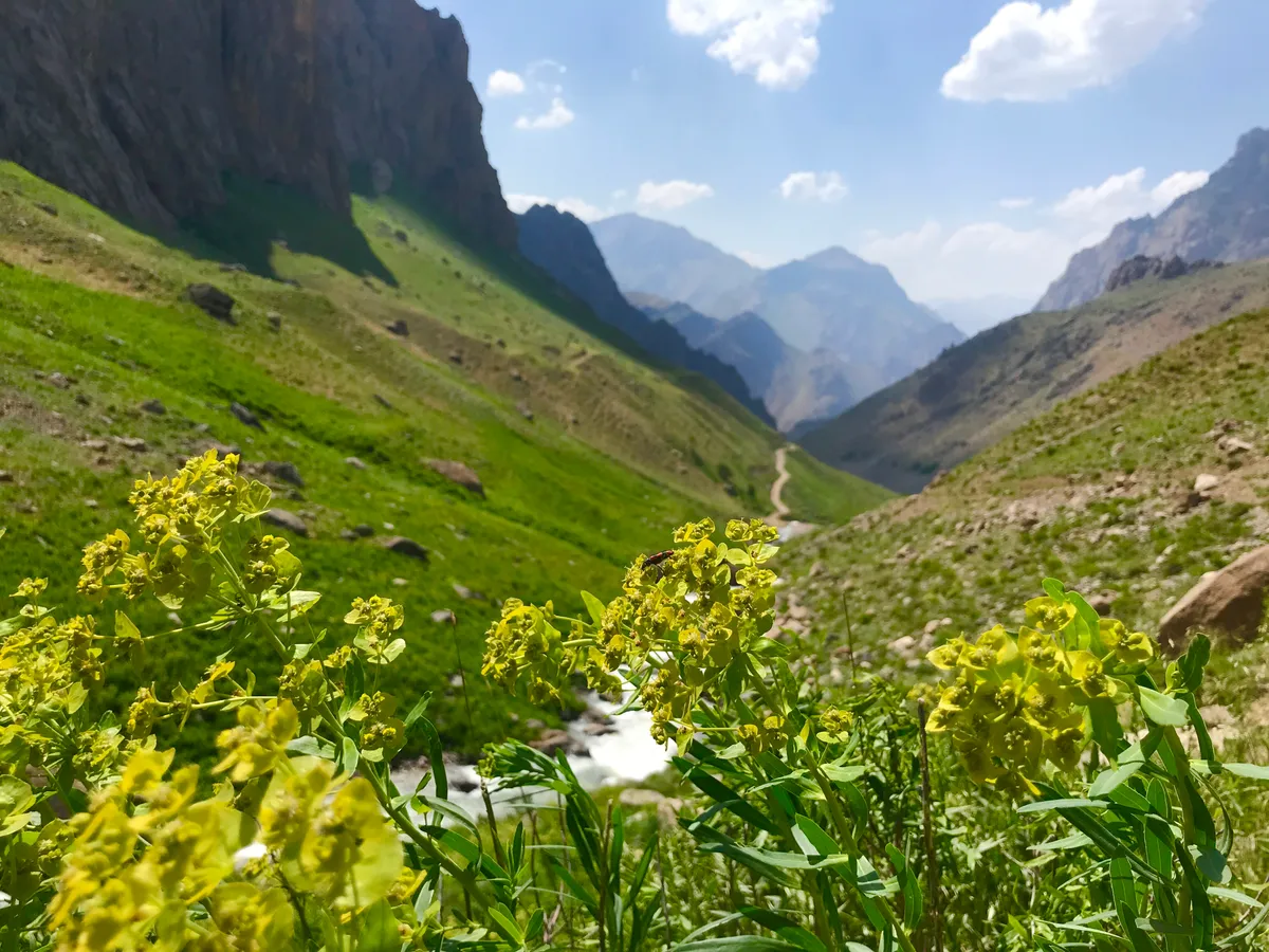 Rize Fındıklı'da Gökyüzüyle Dans: Karadeniz'in Eşsiz Yamaç Paraşütü Macerası