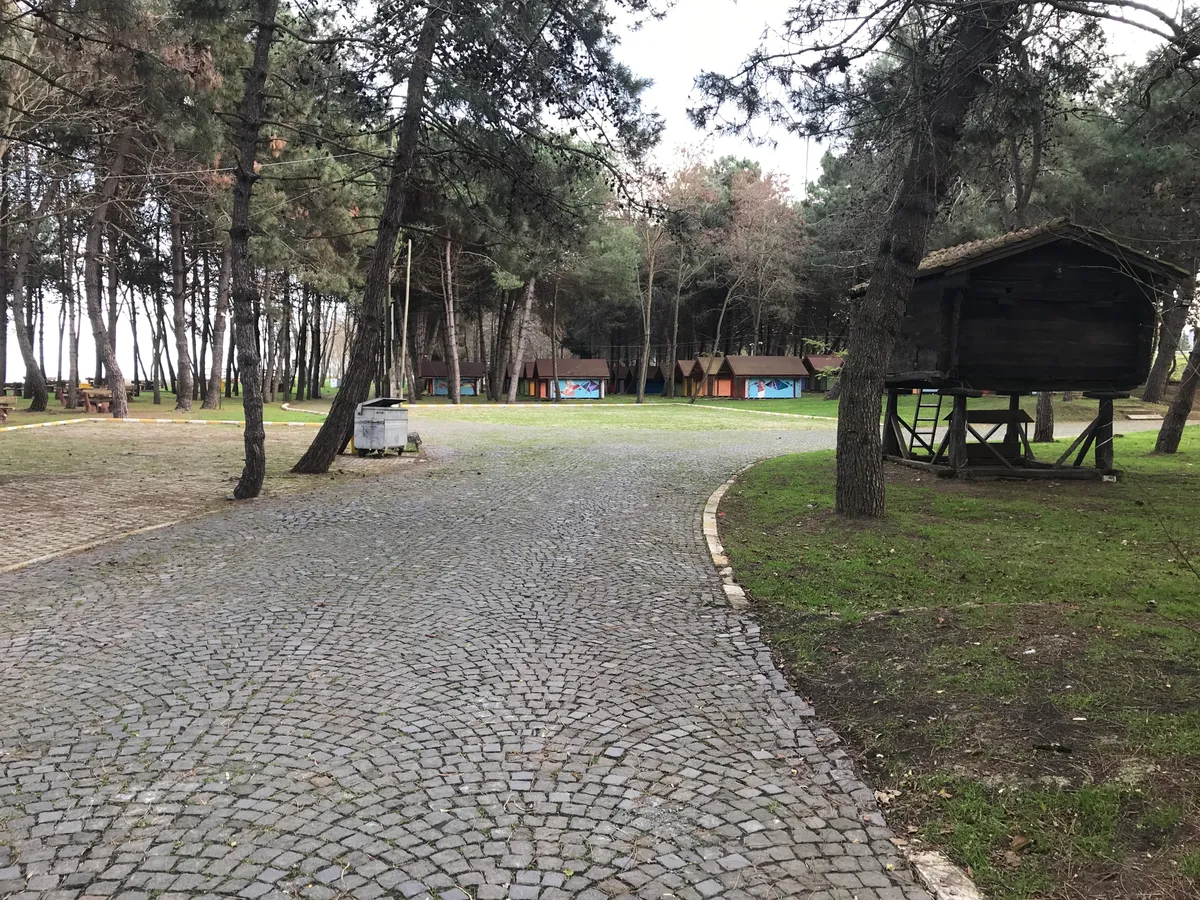 Çınarsuyu Tabiat Parkı ve Doğal Kumsalı