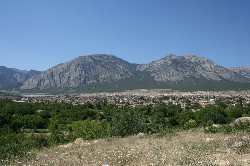 Işıklı Yaylası & Çam Ormanları (Mecitözü)