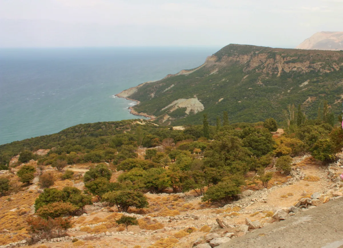 Doğancı Köyü Tarihi Çeşmesi ve Çınaraltı