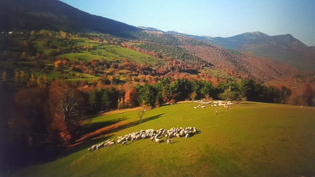 Dumanlı Yaylası ve Tabiat Alanı - Tokat Almus