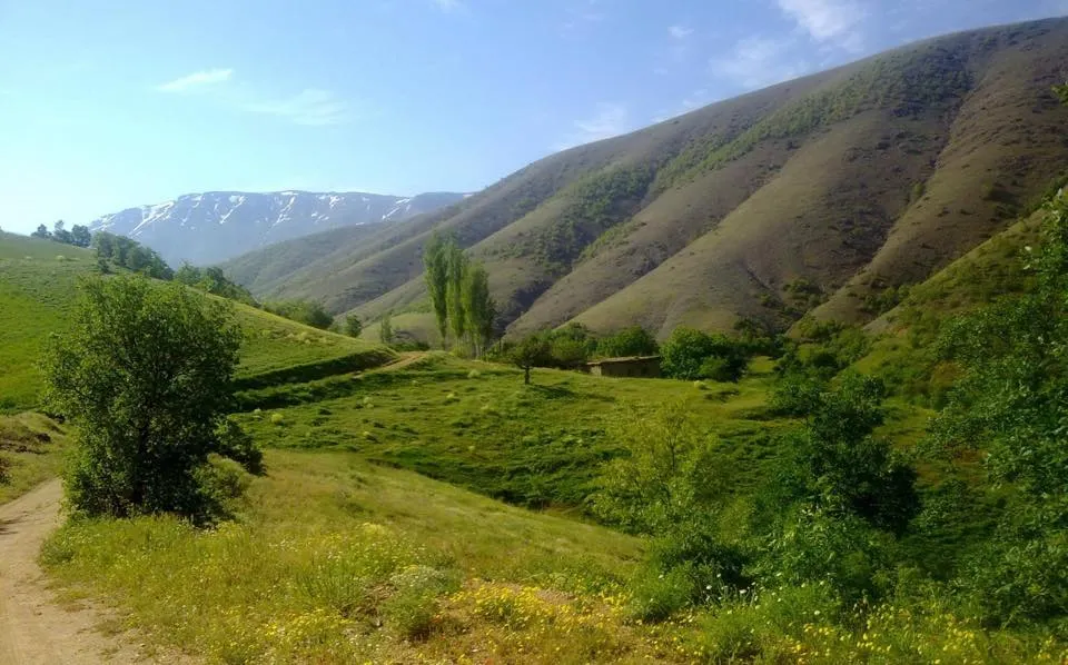 Ekinözü Kent Meydanı ve Şifalı Maden Suyu Çeşmesi