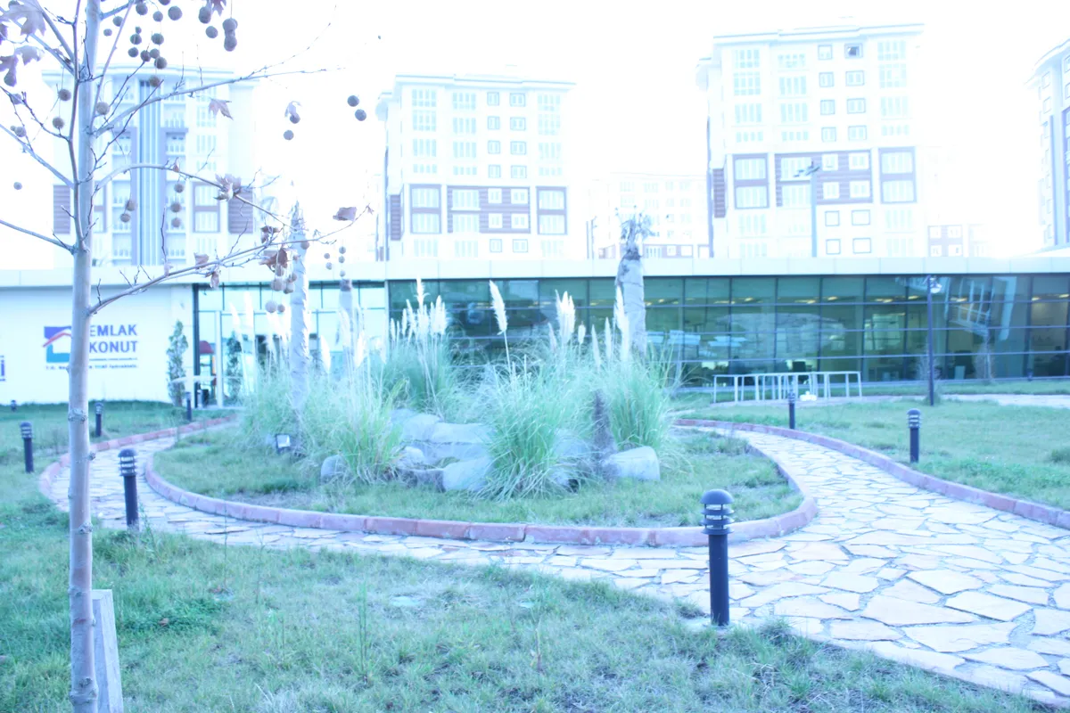 Ergene Nehri Pehlivanköy Söğütlük Mesire Parkı