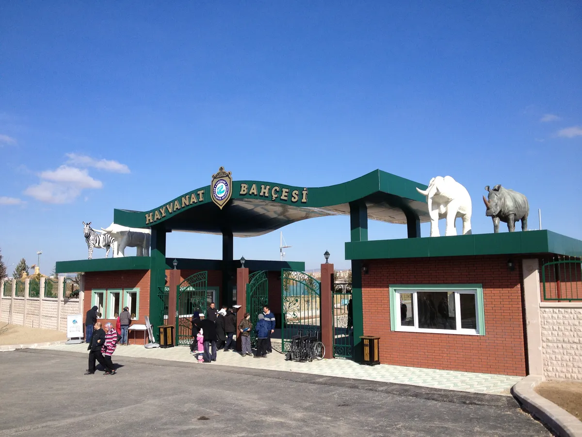 Eskişehir Tepebaşı'ndan Gökyüzüne: Yamaç Paraşütü Macerası