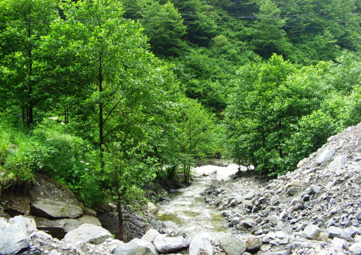 Fırtına Vadisi Aşıklar Kemer Köprüsü