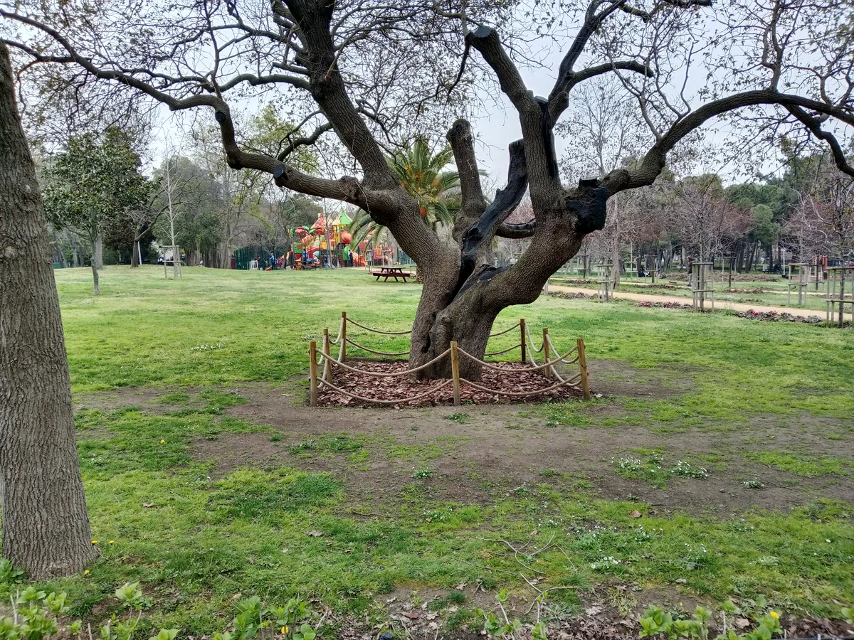 Florya Atatürk Ormanı ve Doğa Parkuru - İstanbul Bakırköy